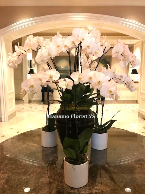 LOBB1007 Hotel Lobby Orchids display XL - Click Image to Close